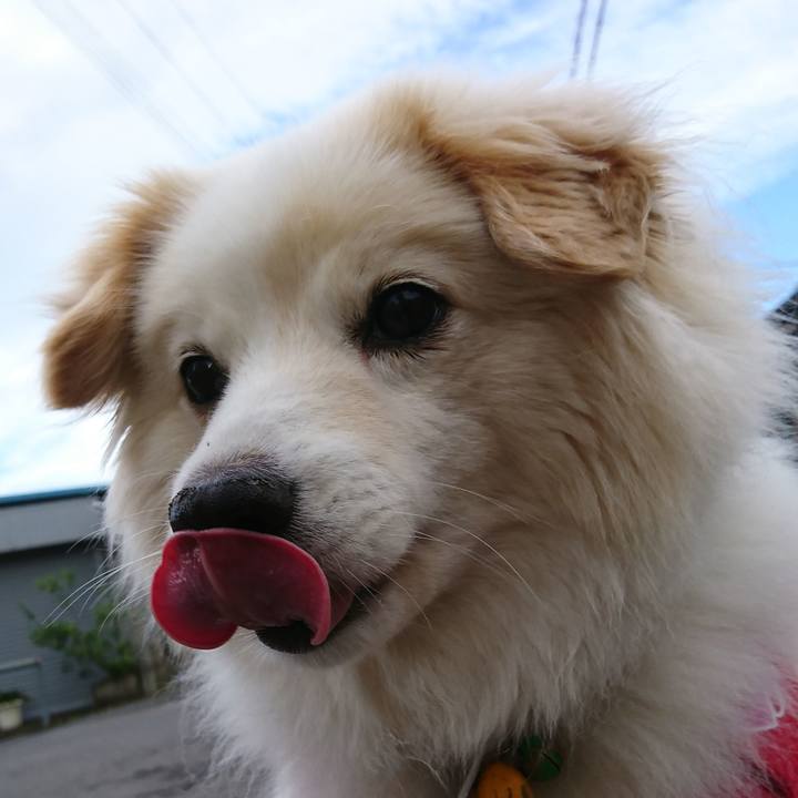 7c2a2cdb 4a0e 40bb a77f f8c0105878bf 1530135911117