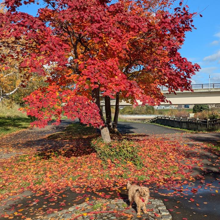 7c2a2f8a 8f97 4f3a a83e 246d494adc37 1730612742971