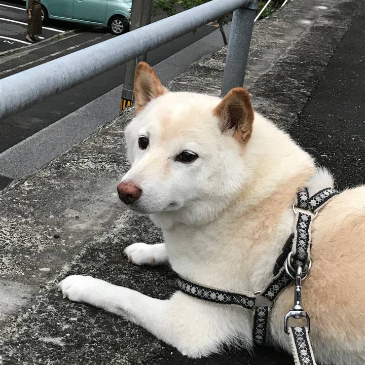 7c2a5a5f 3f32 45eb a9c3 ed1c0d172482 1635731866214