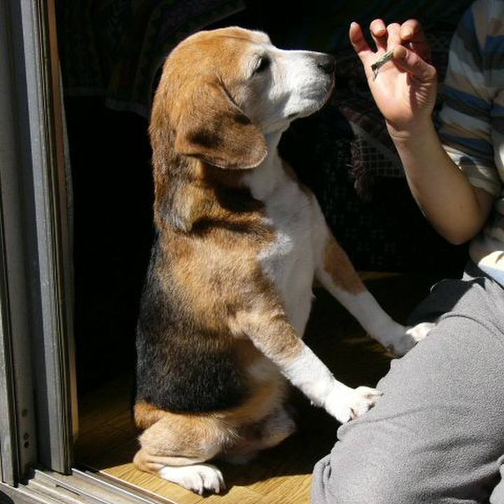 7c2a5aad e53c 41b2 a496 908574baeb6c 1641345109042