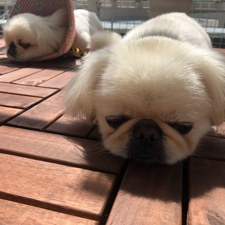 7c2a655b 68bb 427e b127 9b8dddd89f5c 1537062989395