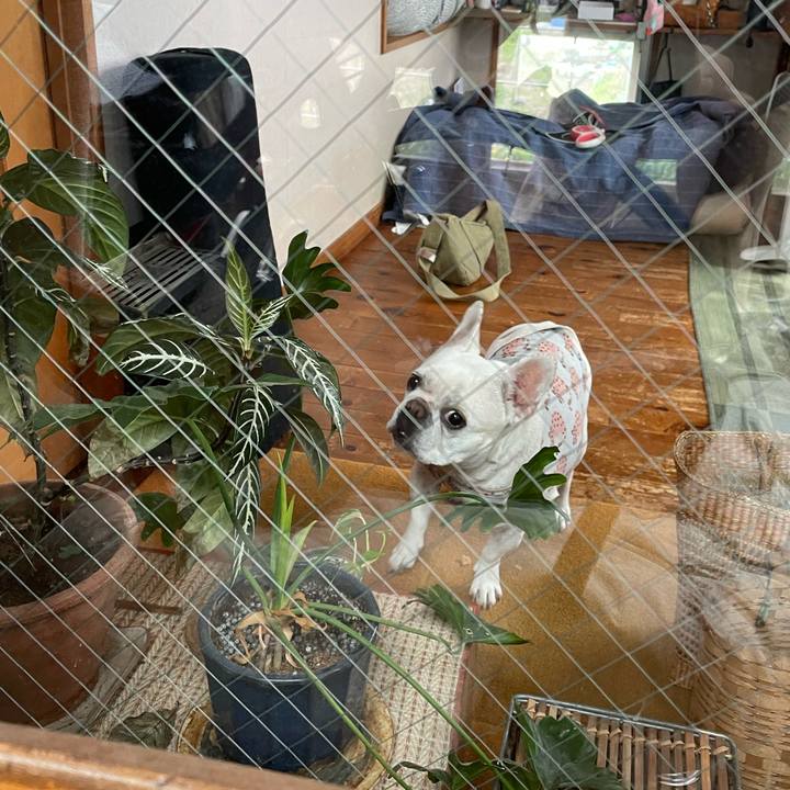 7c2a6737 3be7 4b81 a11c 2980ea8f5dd9 1743923865440