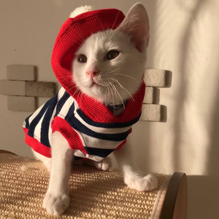 7c2a934f e7d4 46d7 b85c 492ff8a98b86 1567908342489