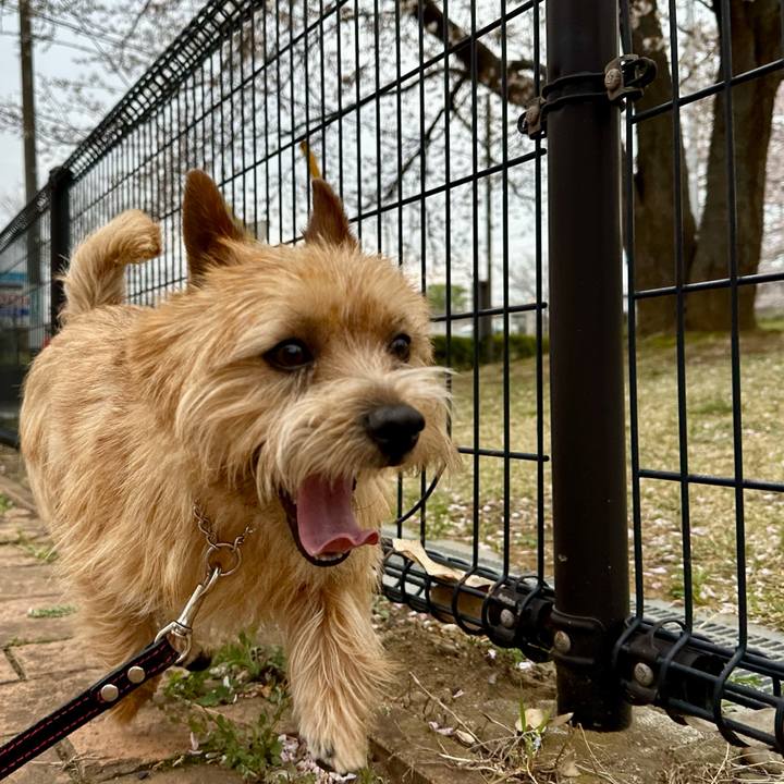 7c2aeedb 7d88 4673 b481 38c0810b0583 1744369480300