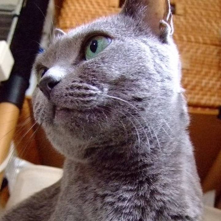 7c2af66e 8028 4ff8 9b4e 02404bf88abc 1508031687151