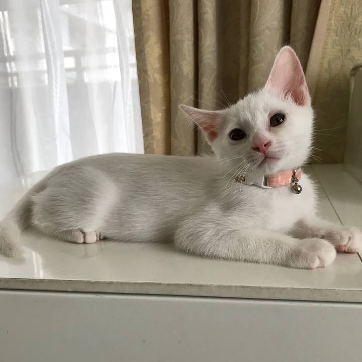 7c2afd4e f2ea 44fd 975f 855c2e8ac522 1567078081749