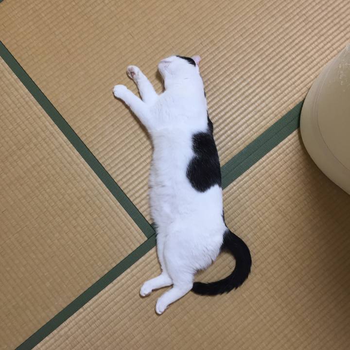 7c2b054c c458 4073 abf3 18c5ce4fa084 1539764230115