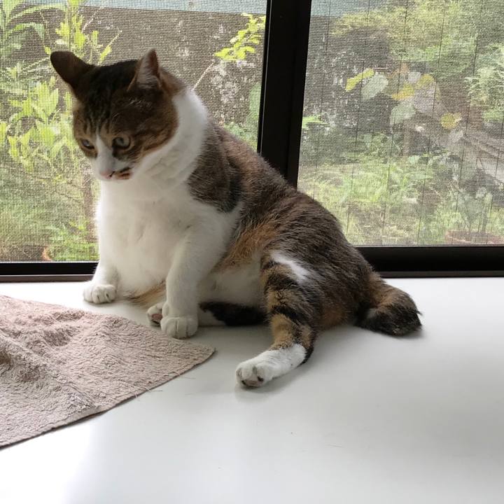 7c2b1674 2d7c 40fe 87a9 71421274717b 1563105397625