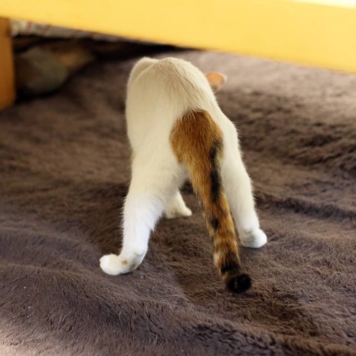 7c2b2326 131f 4c79 9d65 e2b8e6d228c2 1544490220365