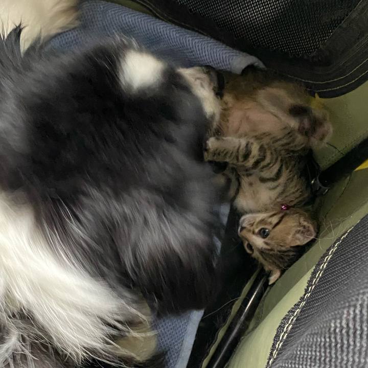 7c2b3700 3d5d 4b9e 9e4d 7ec170a83203 1597021943571