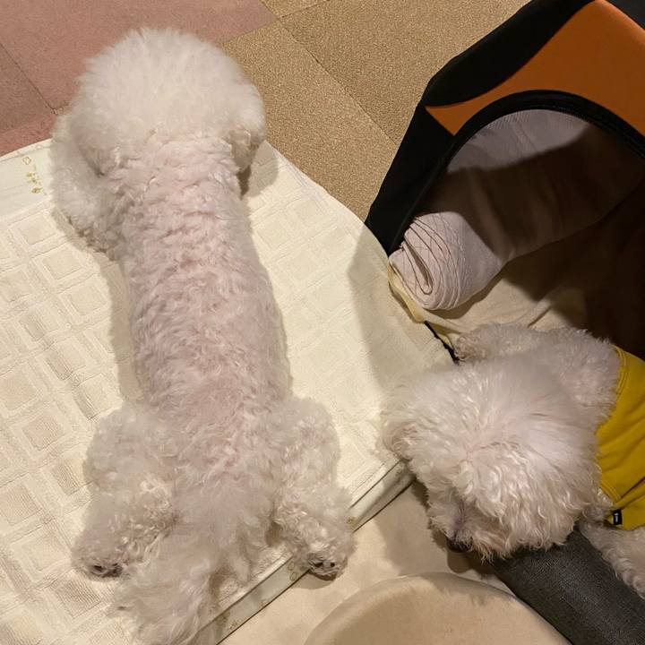 7c2b43b4 7377 4495 afdd 0173df97f55f 1728377385636