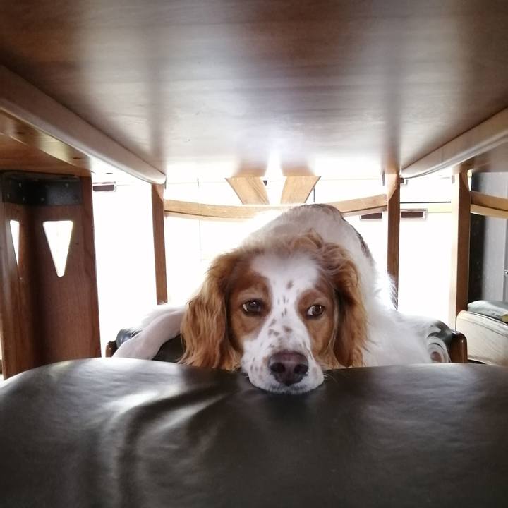 7c2b4662 b900 4e13 8134 77cd4935b7ad 1566636155413