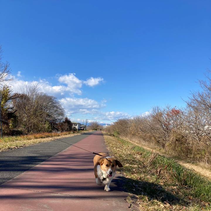 7c2b5664 991f 4f09 adc8 40f7858b6afa 1738109226177