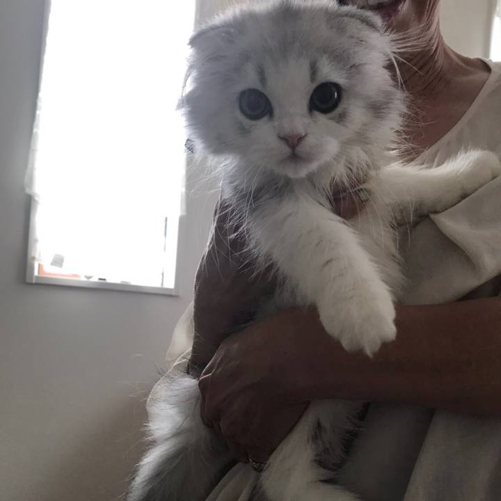 7c2b6d51 c510 4d58 b462 1f133e740267 1596374222044