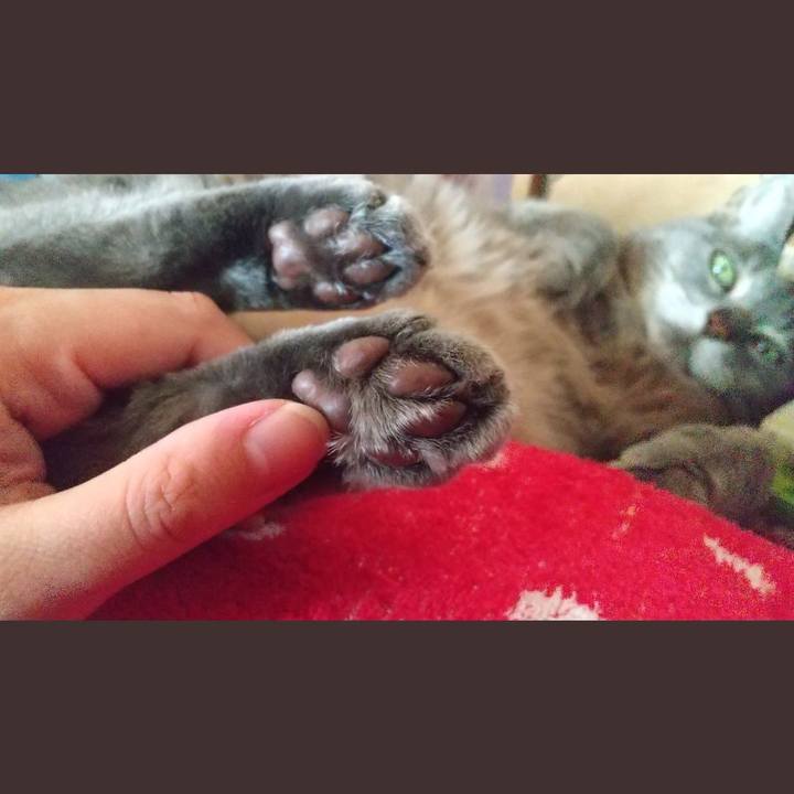 7c2b7258 b67f 413f ac2d d932e446c2d6 1647673467705