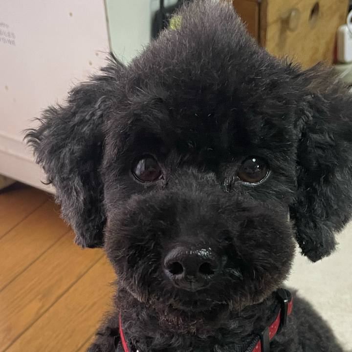 7c2b8ee1 2af6 4671 a9c0 461552ebea07 1679120841191