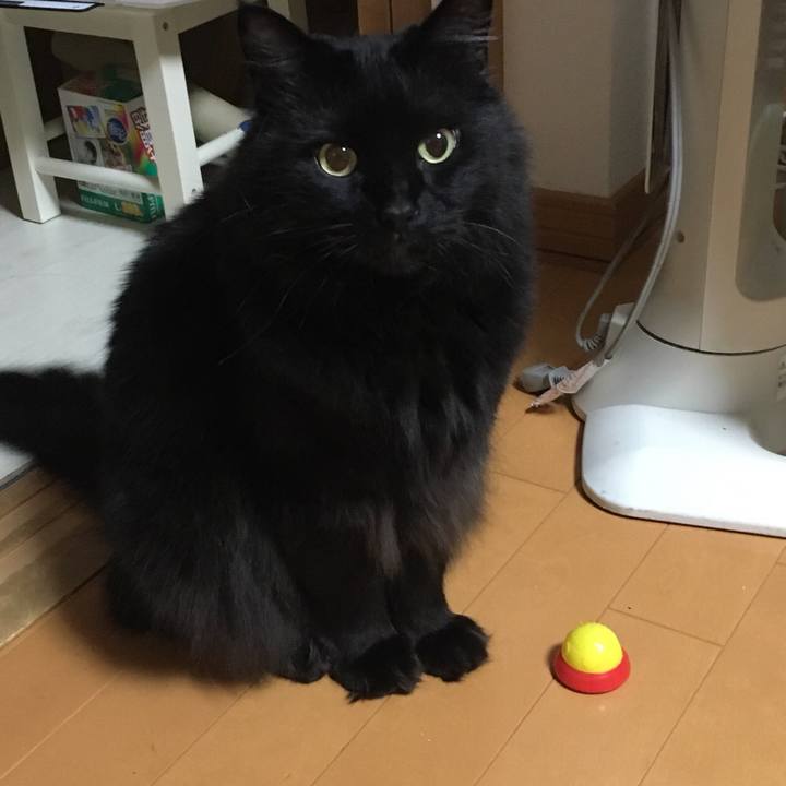 7c2bee3f 0f0f 45b8 a0e5 e87a97e9055f 1525369577380