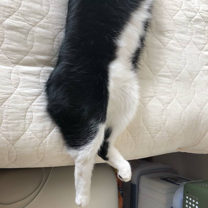 7c2c3b20 eb46 474f 9b5f 4d6955b506e5 1558199583202