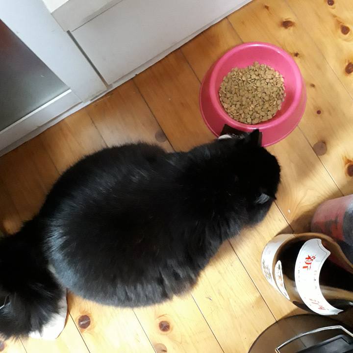 7c2c45b9 fb3c 4f2e a256 bdba2a97a069 1517601982115