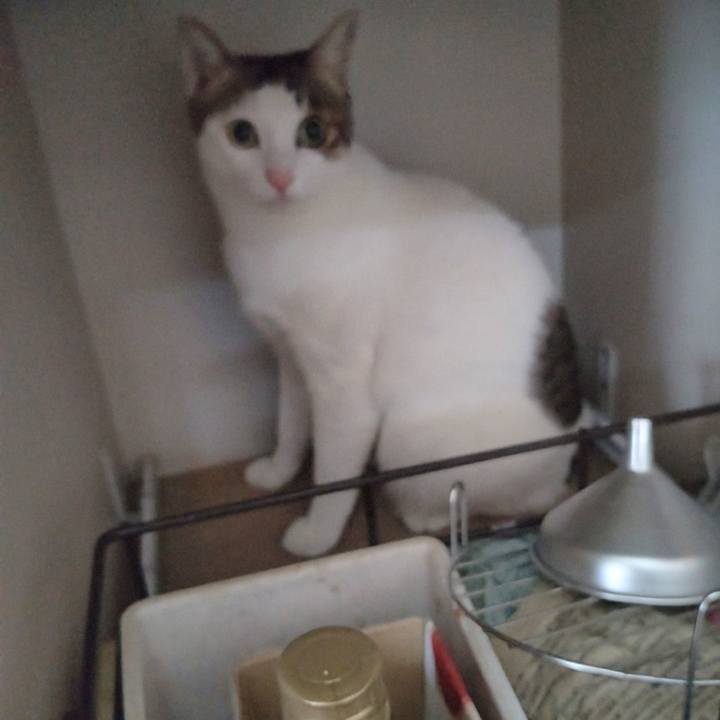 7c2c5530 bfe0 4657 bb3a 7a2db2f5bdac 1742697477769