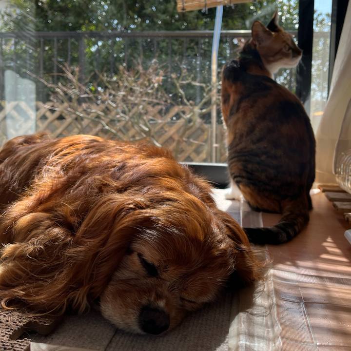 7c2c654e c09a 4c1c bd83 6995268f9b74 1773020800629