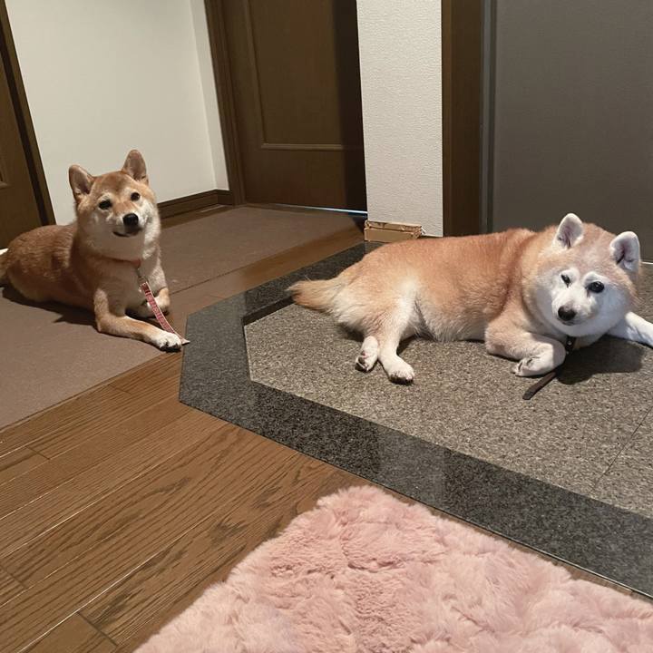 7c2c87df 6a5f 4560 aadb 661471be8302 1725238986840