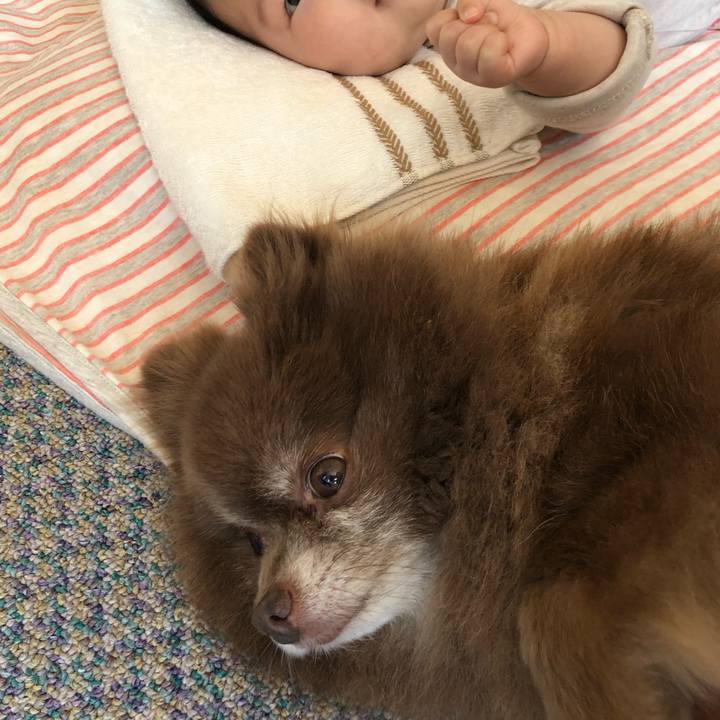 7c2c983a bc7e 428d 9e5f e7e9c3fbfb67 1560996424217