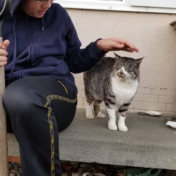 7c2c9887 85ca 479d a942 7ff931456d3b 1637679433572