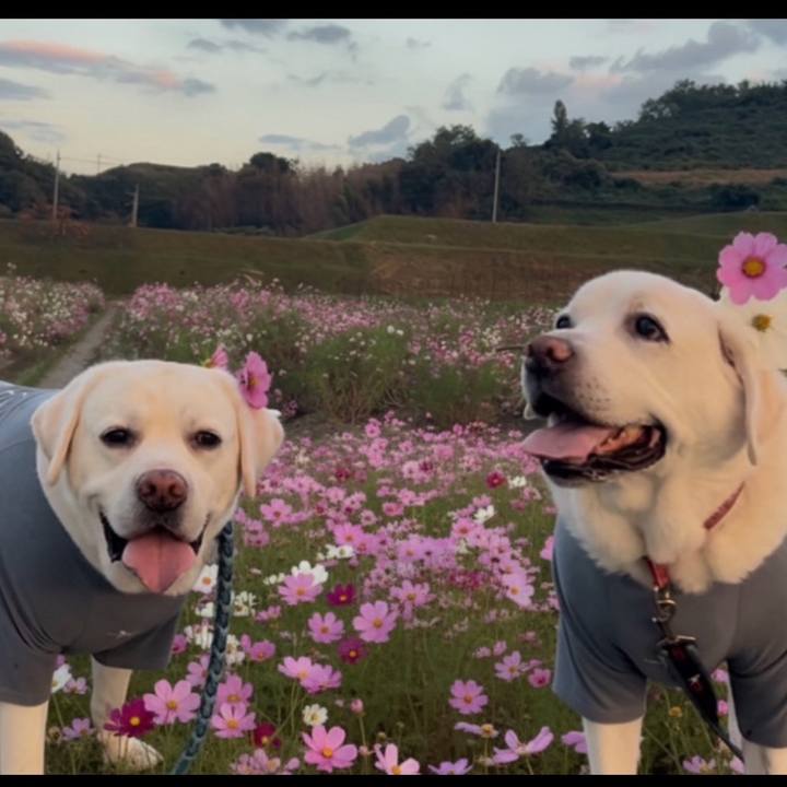 7c2ca10a 56b7 4d14 9623 b36b7f83b78a 1764222341199