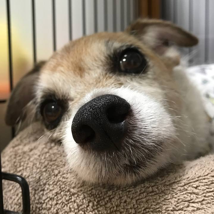 7c2cff77 0d3a 4835 bbb2 d062c55f810b 1664366112466