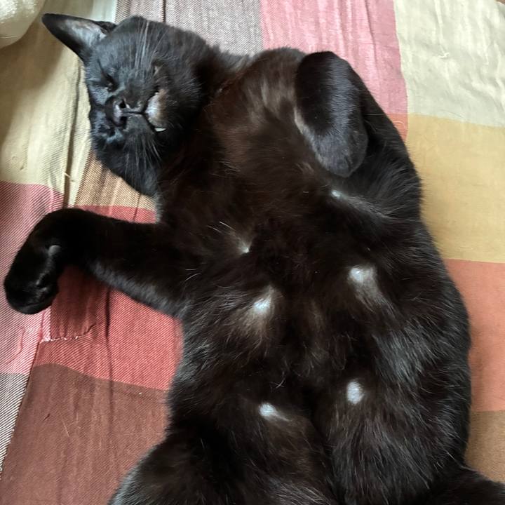 7c2d0b15 946e 4b43 8c56 4948e97ca82d 1750499408798