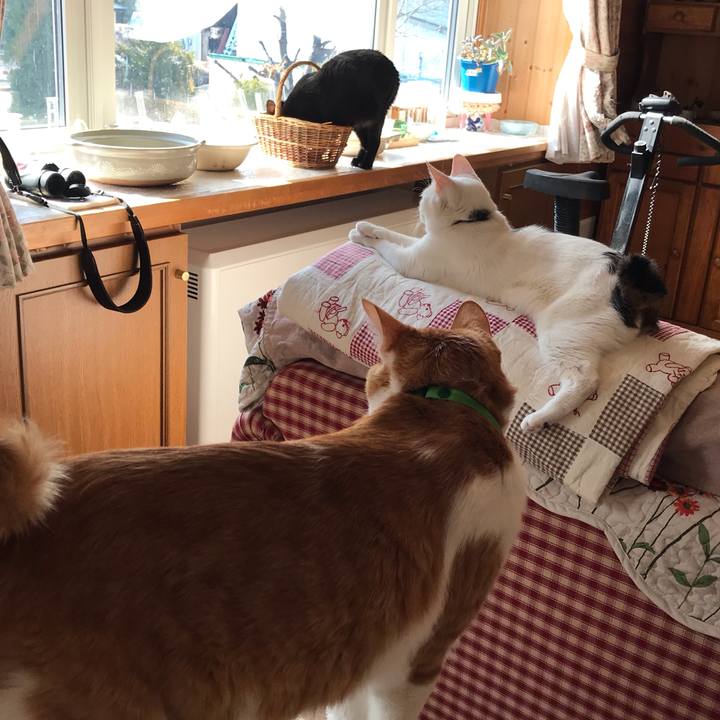 7c2d1f84 b341 4ed4 a87e 88edcad5a6d9 1587169155928