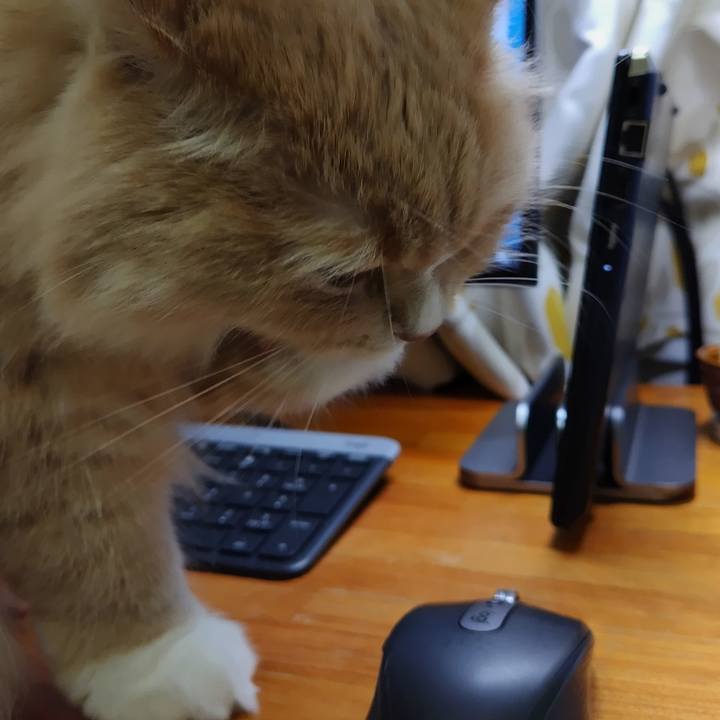 7c2d274c 63d3 49b1 82ed 3f48b260d90e 1718800009482