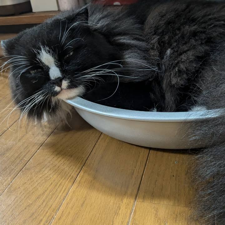 7c2d27b7 948e 4758 93b4 dc04bdb62243 1723333194233