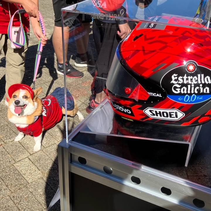 7c2d4724 e0fd 4e92 b0d8 dda4f3c0ced2 1758856938112