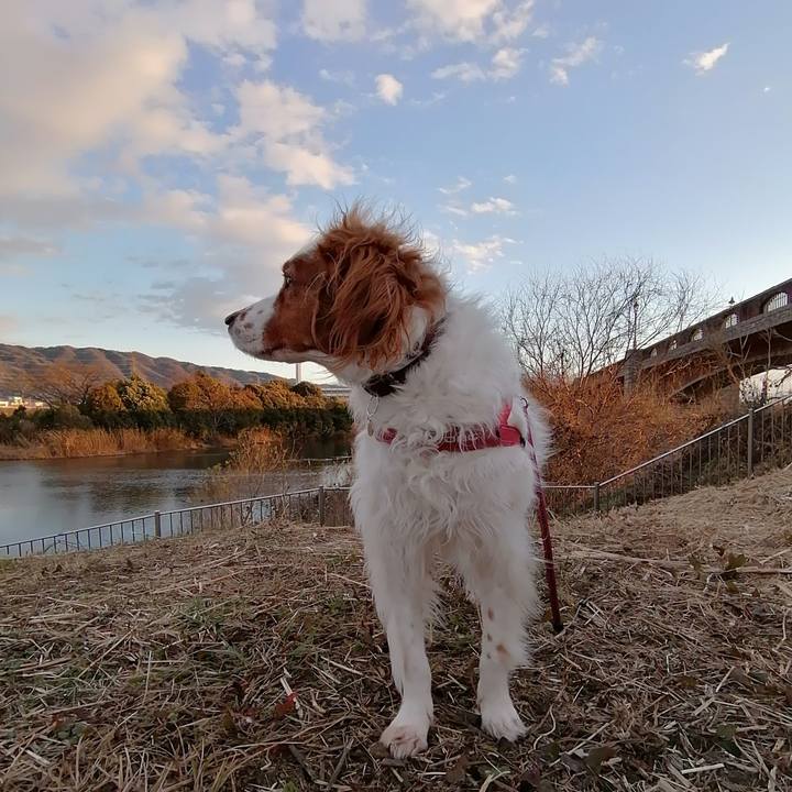 7c2d78b0 1e1f 40bd 9aa8 b2e00baf0e64 1611921023747