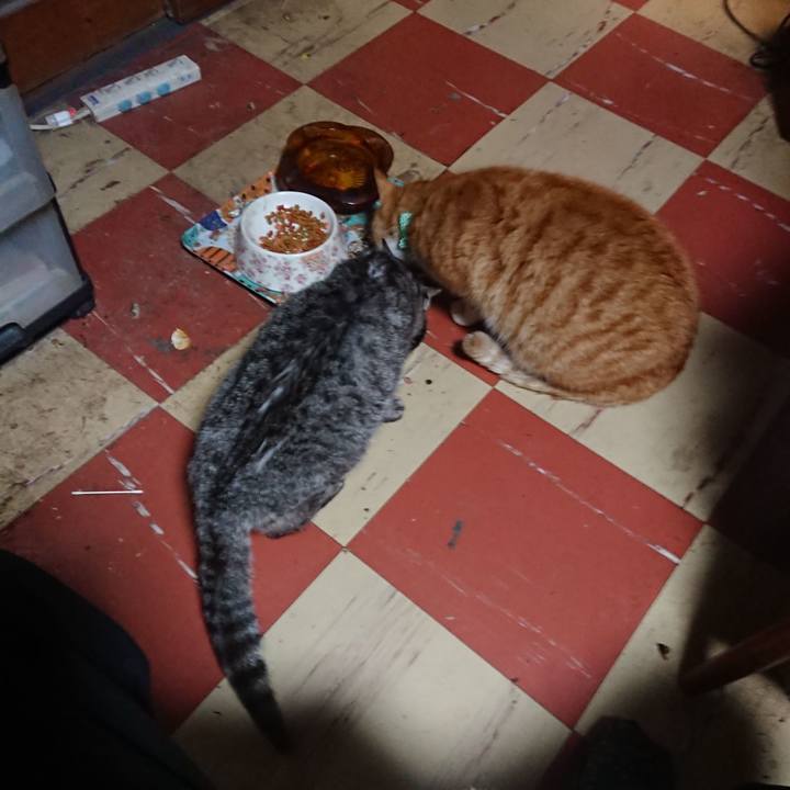 7c2d9b6b e83e 40c6 9579 869b12b17e5d 1581585168276