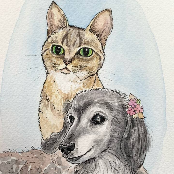 7c2db7d9 9d68 45c1 afba c4550de687e2 1583042531503