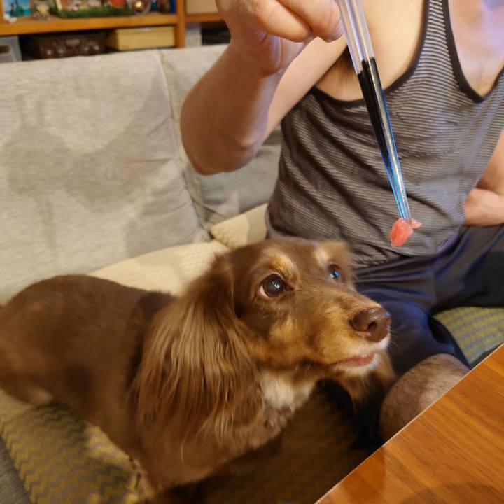 7c2dd0a8 3752 47e7 b1bf ed22c68f7ad7 1662038558650