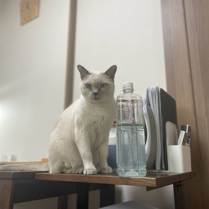 7c2ddf13 ef34 4bd4 ac72 c12b236ed808 1737854000416