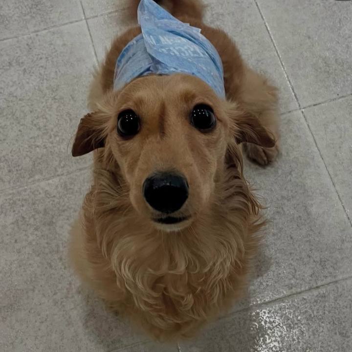 7c2dfc20 51cf 44ce b86f 0ac3f0ec8d67 1743252801625