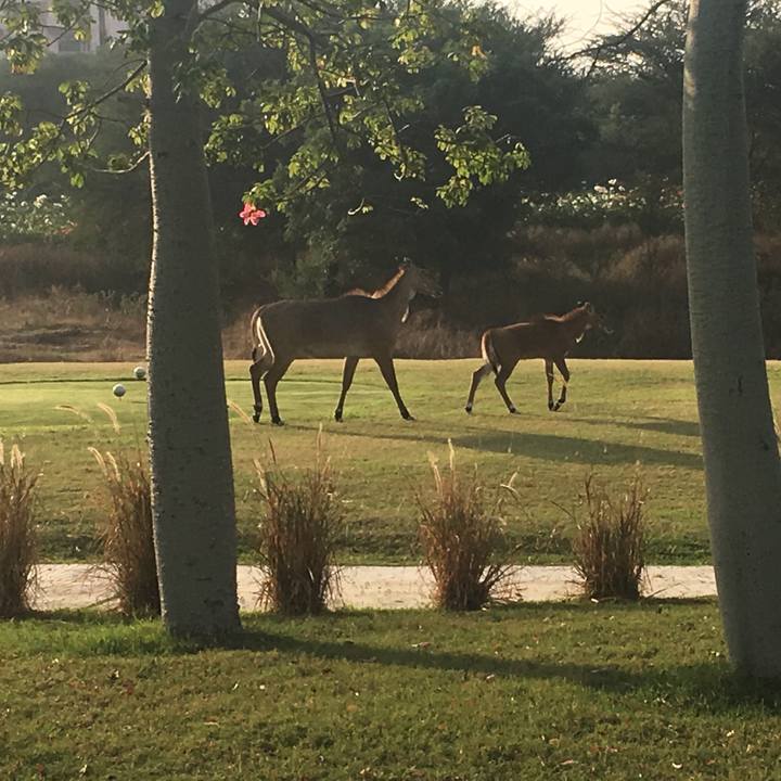 7c2e19fe 81b9 4cbf b6c0 4bd6987d3932 1545226131986