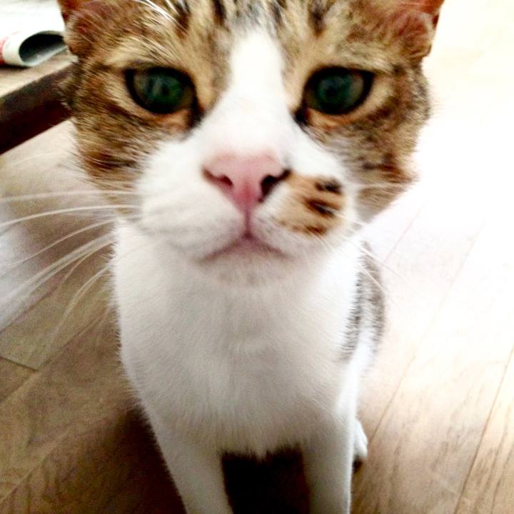 7c2e3a07 3ee4 4bec 8923 8780b2ce8529 1527912778851