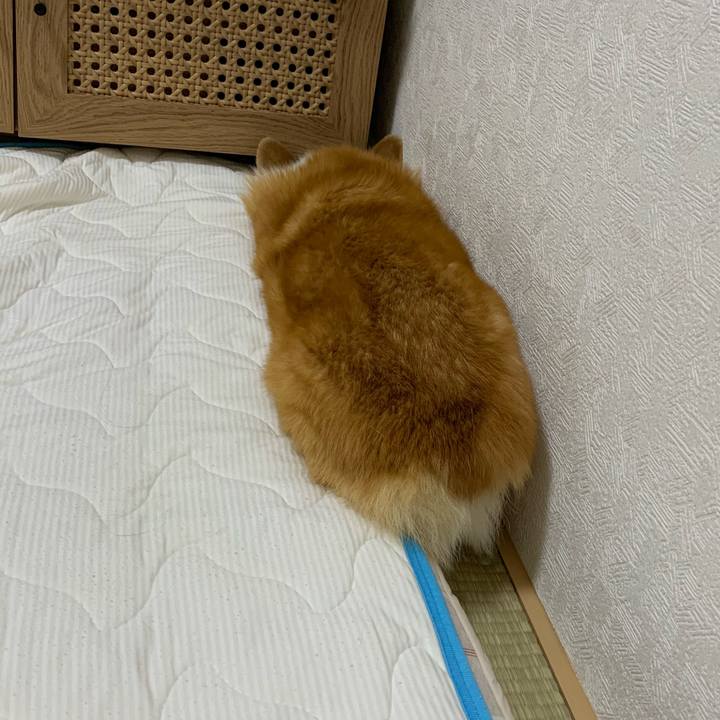 7c2e648b c5ee 4fa8 8c90 012c1d0ae2c9 1717905992320