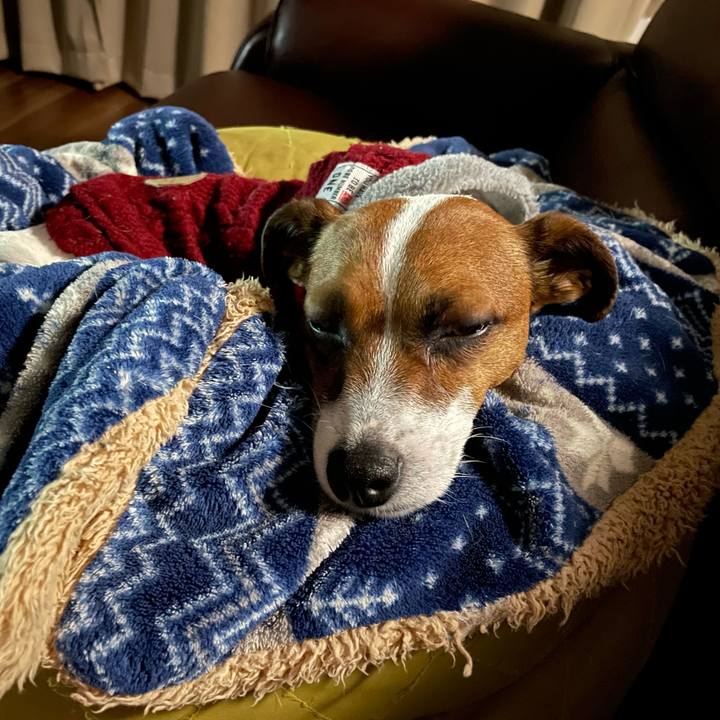 7c2e6501 8e55 4a3d 95fa 04d172f9cdd5 1642939278845