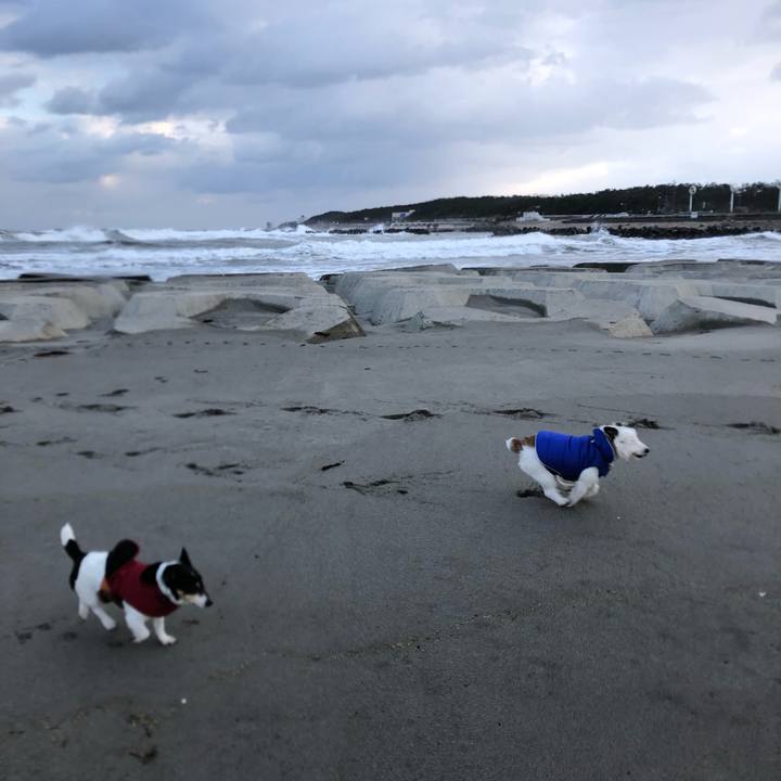 7c2e71a3 ccda 43d7 a962 b6174e842897 1549067477011