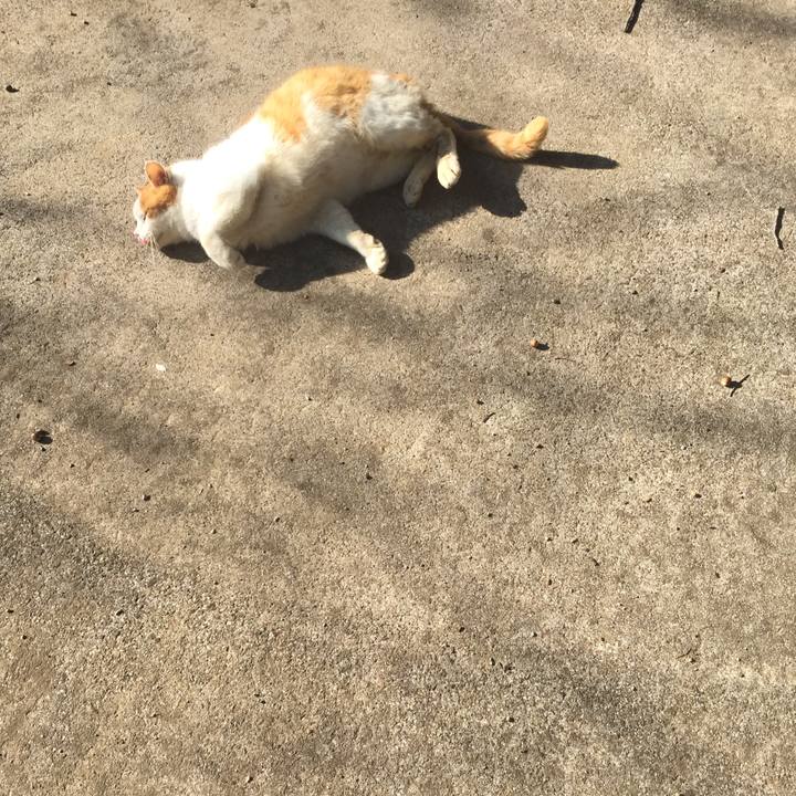 7c2e8cc3 2bee 4430 b2c6 085c4064009f 1576400897498