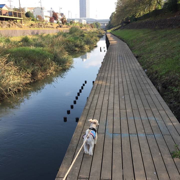 7c2eb470 3021 4e67 9174 7029406dcf62 1540626434210