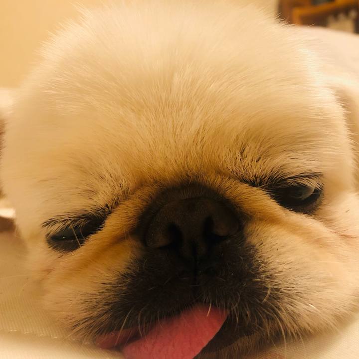 7c2ebb67 10b5 425f bf19 ffebec6767aa 1627574079111