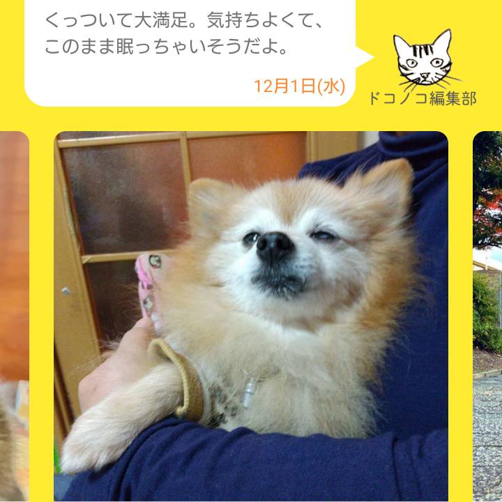 7c2ef26c af46 4607 826c 4e65dc8245d2 1638402439205